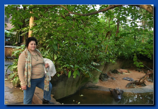 Arnhem Burgers Zoo